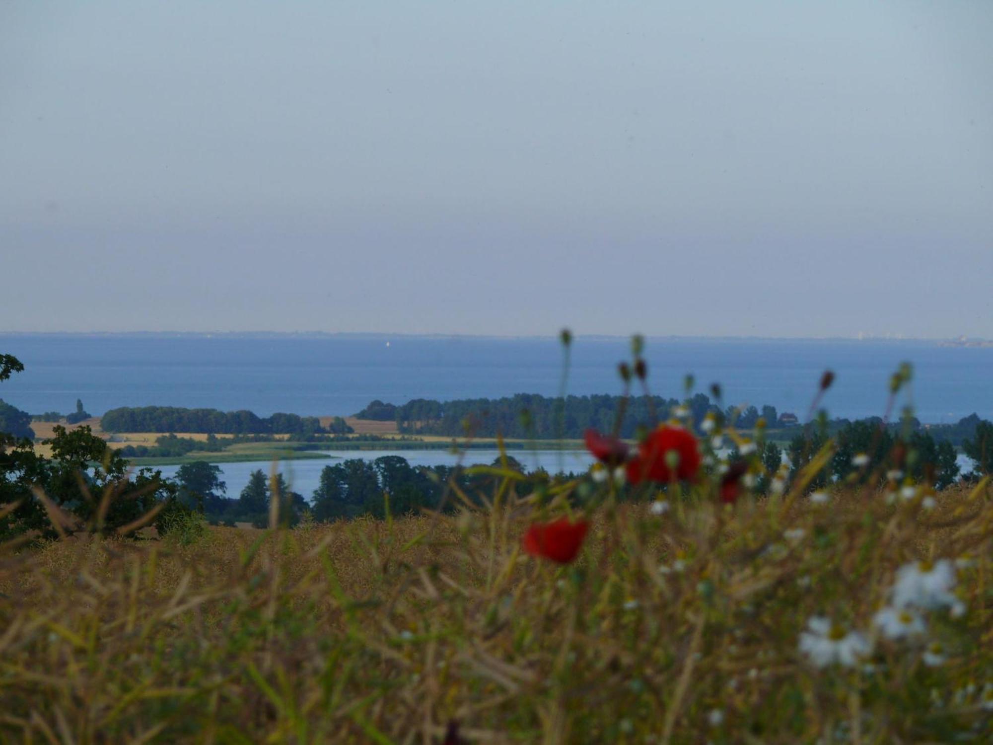 Beautiful Authentic Mill Close To The Beach Wangels Exteriér fotografie