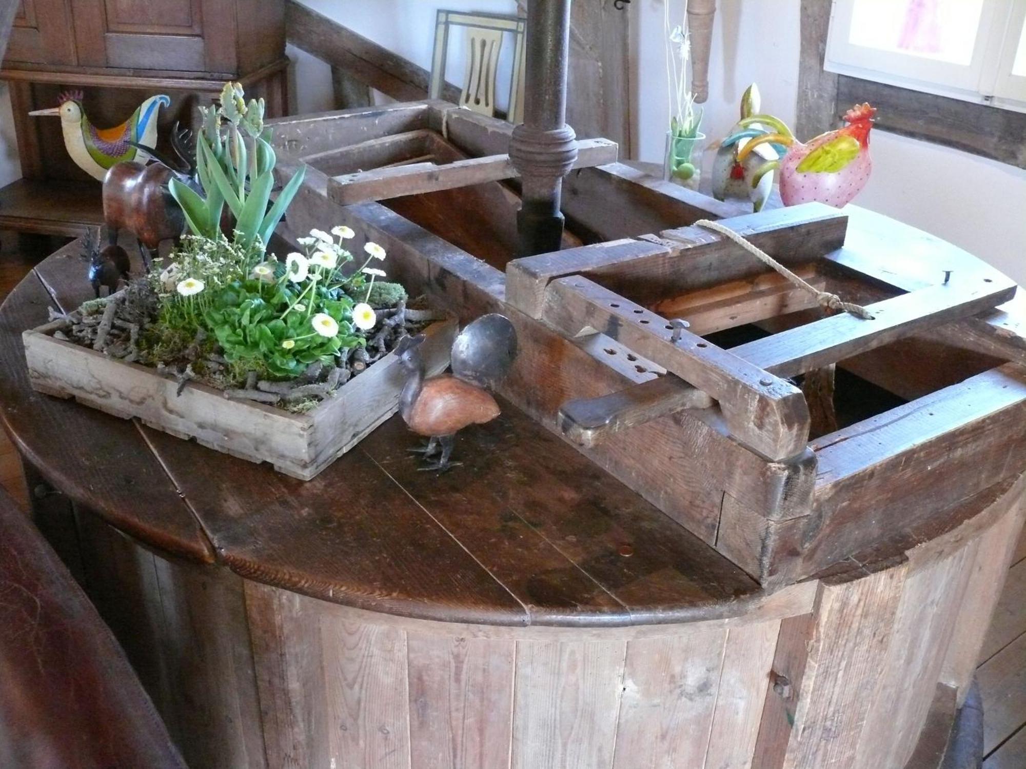 Beautiful Authentic Mill Close To The Beach Wangels Exteriér fotografie